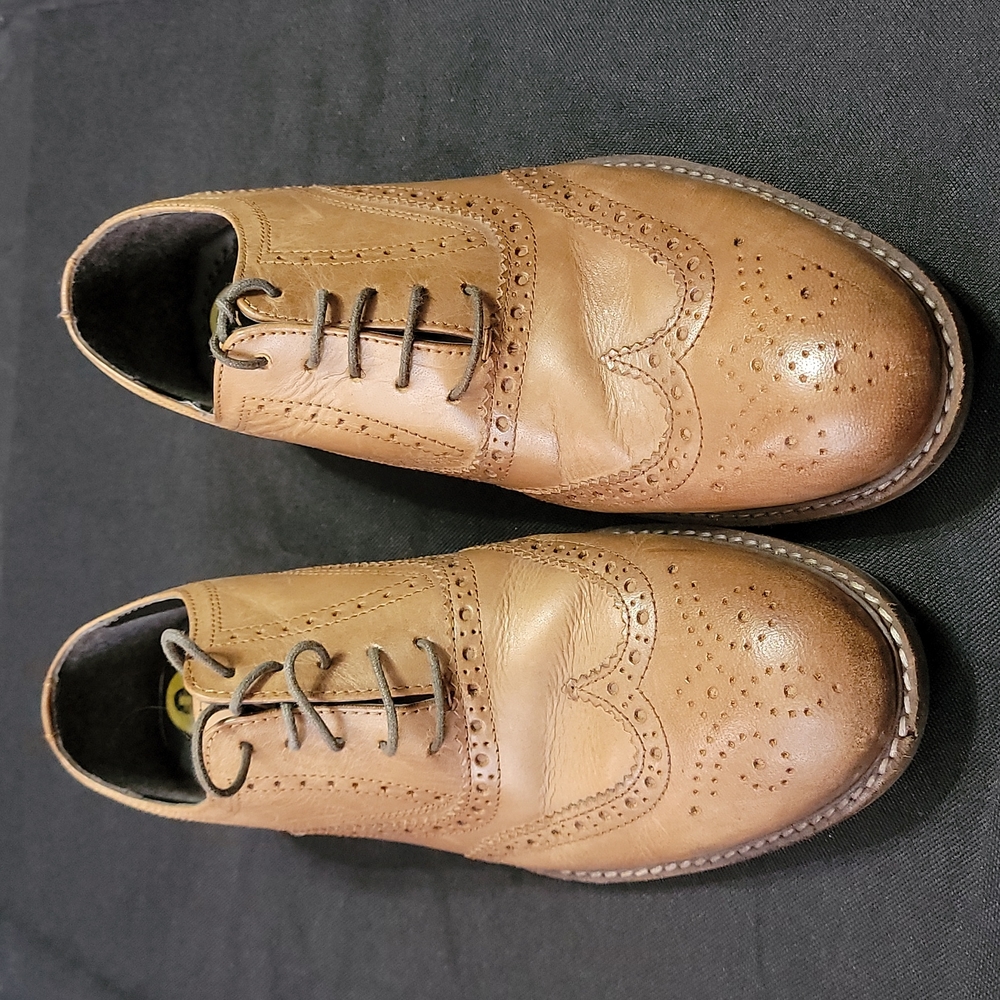 Red Tape Wingtip shoe